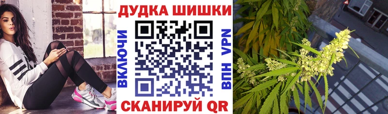 Где купить наркоту Алзамай hydra ссылка  Амфетамин  ГАШ  A PVP  Конопля 