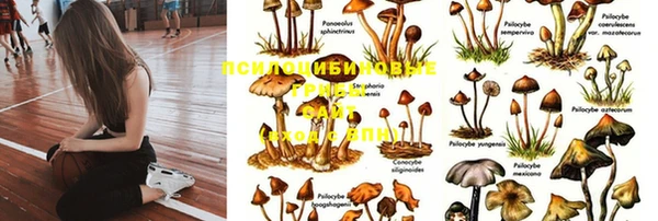 наркотики Алексеевка
