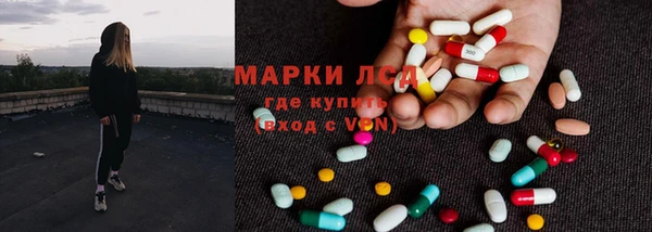 a pvp Алзамай